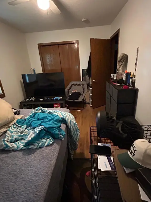 Picture 17
