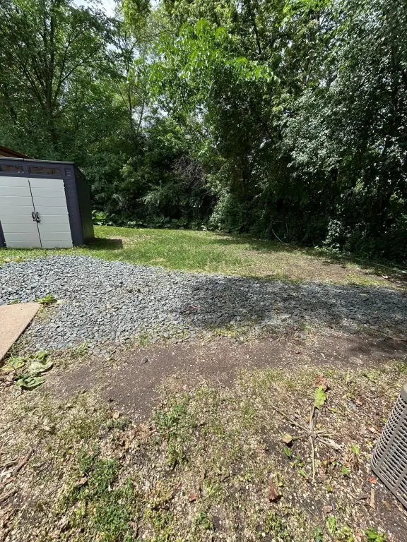 Picture 8