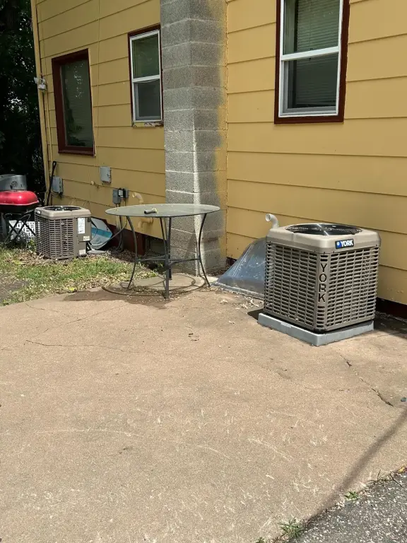 Picture 5