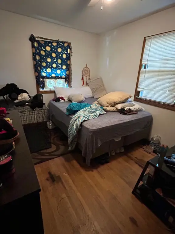 Picture 16