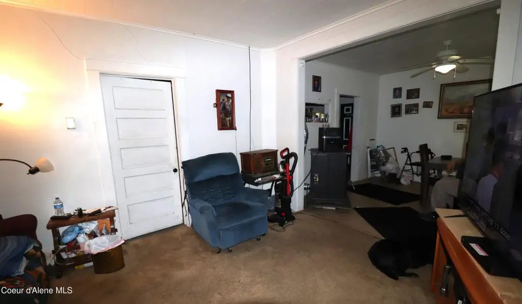 Picture 11