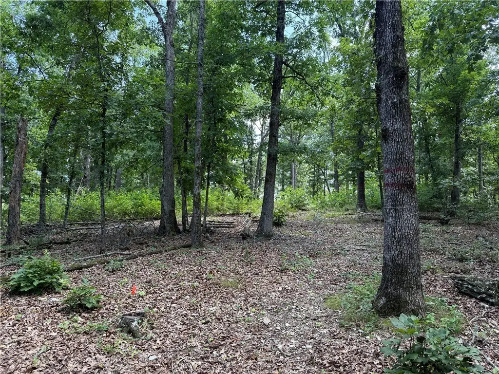 Picture 12