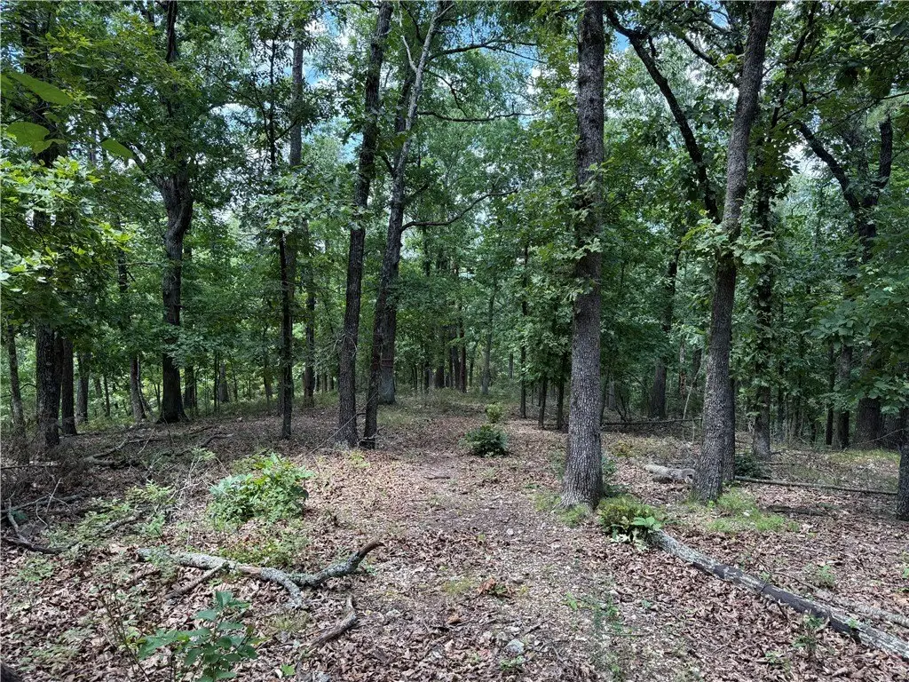 Picture 11