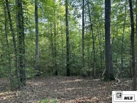 Unrestricted Hunting Land