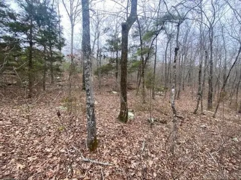 Holley Mountain Airpark Lot