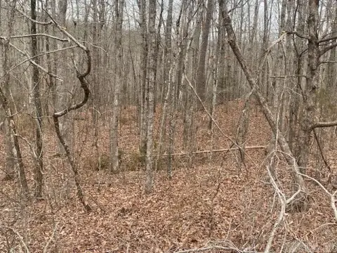 Holley Mountain Airpark Lot