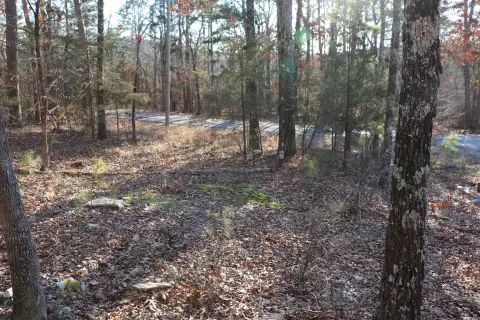 Lakeside Corner Lot Opportunity