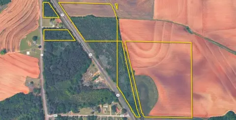 Agricultural Land with Timber