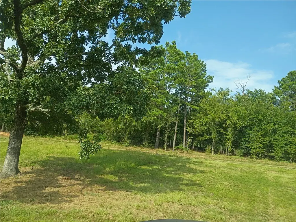 Picture 24