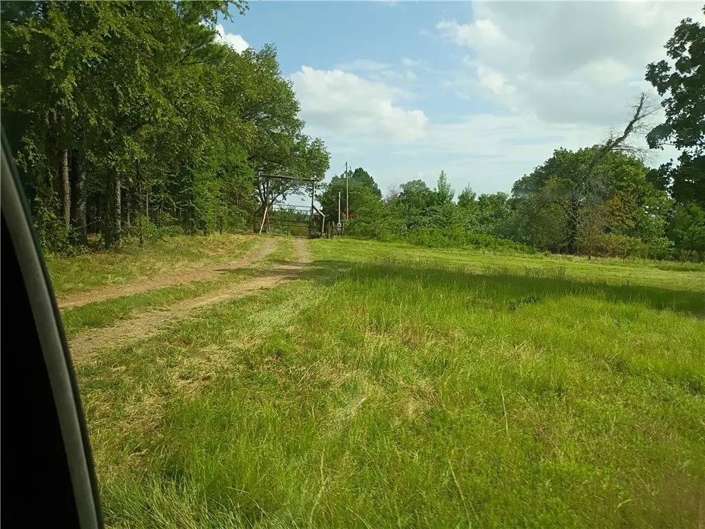 Picture 14