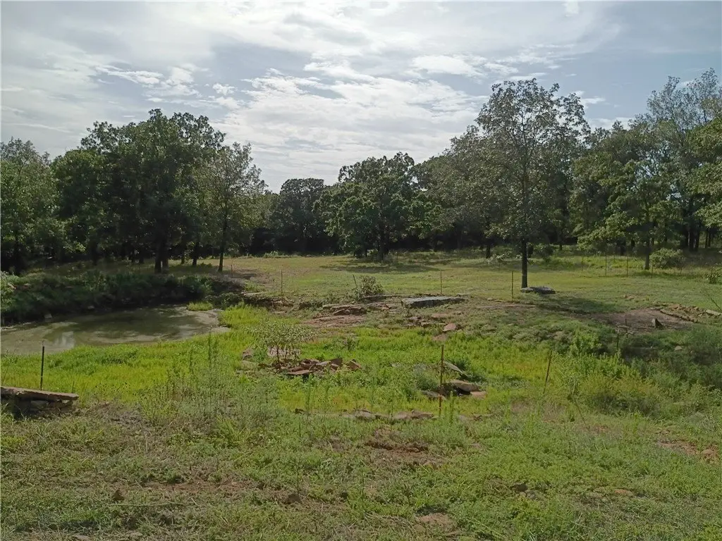 Picture 21