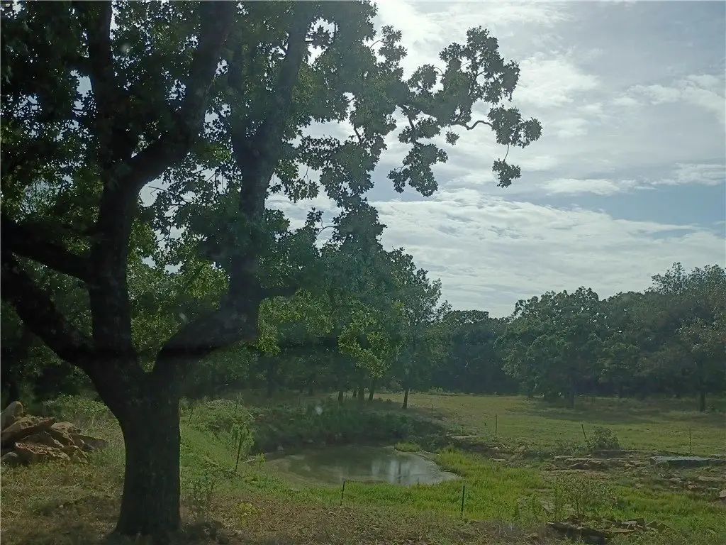 Picture 17