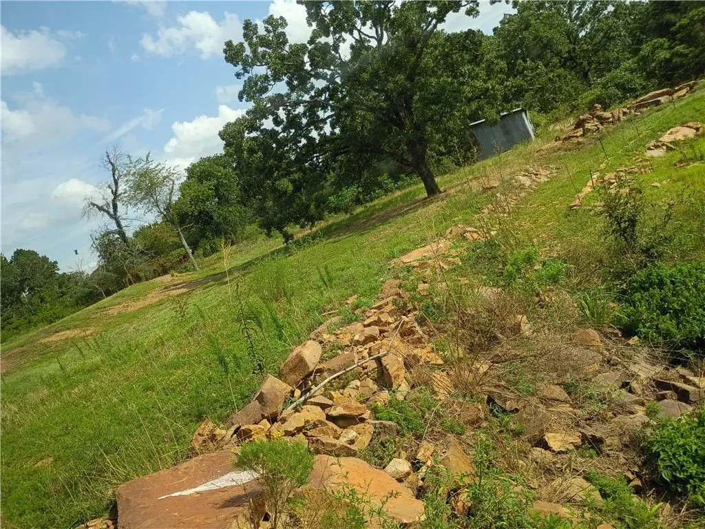 Picture 9