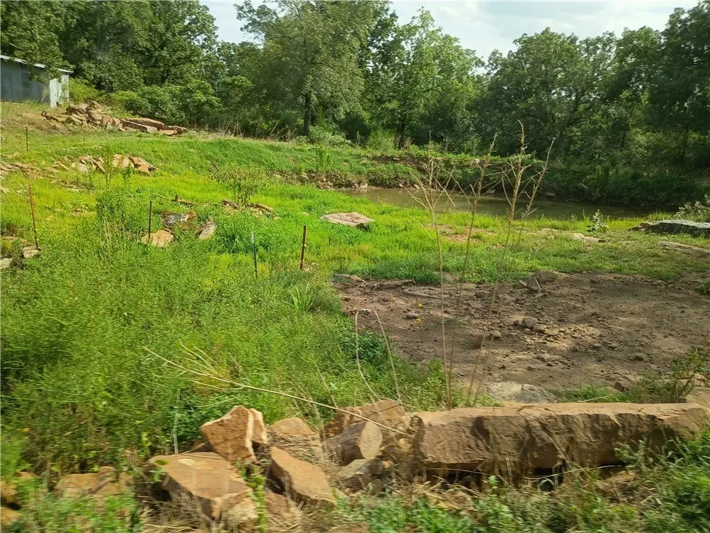 Picture 5