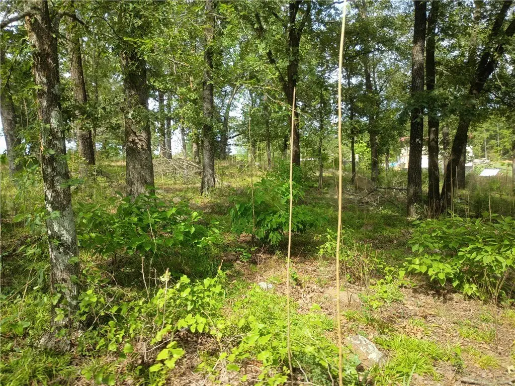 Picture 24