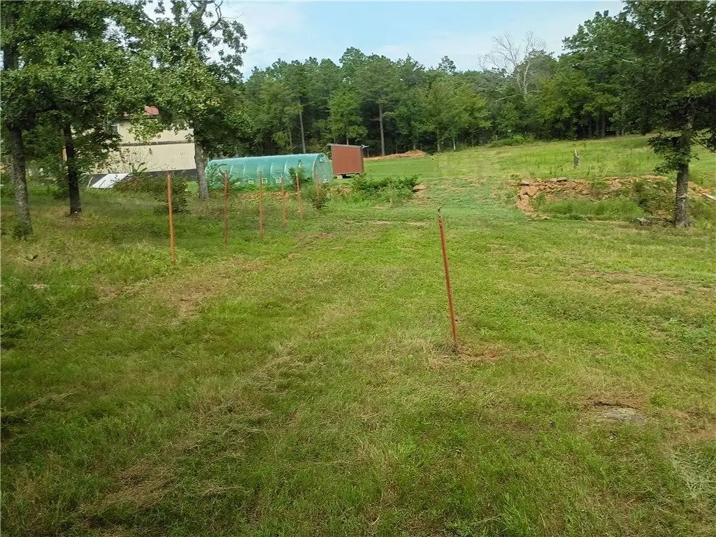 Picture 21