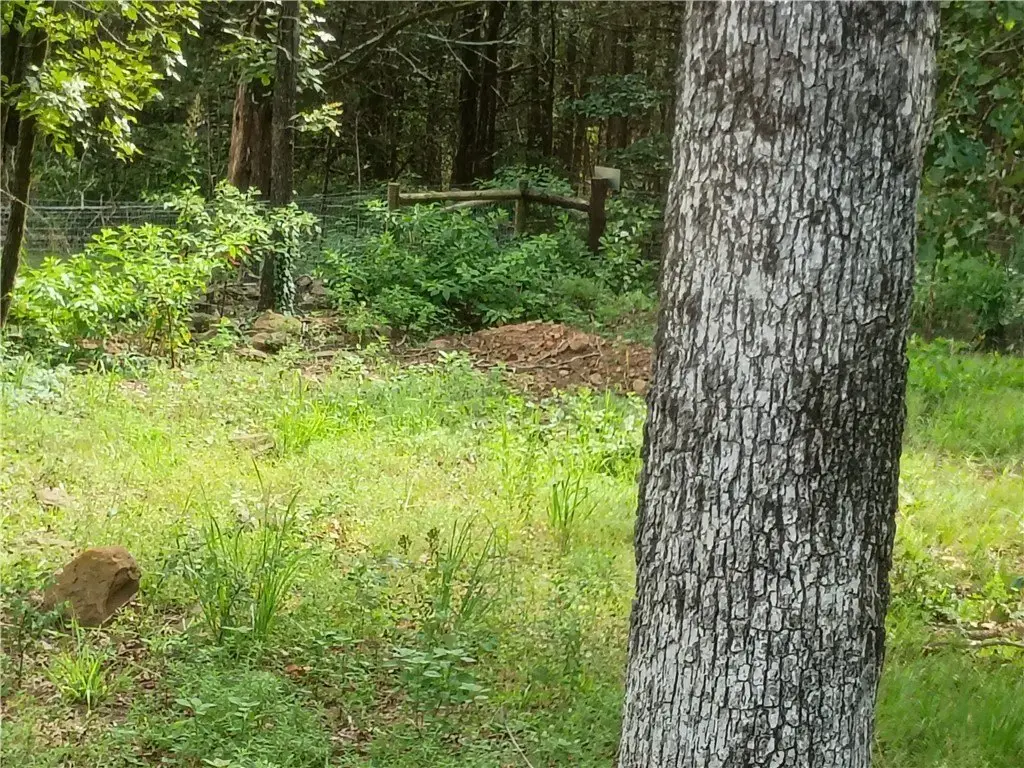 Picture 10