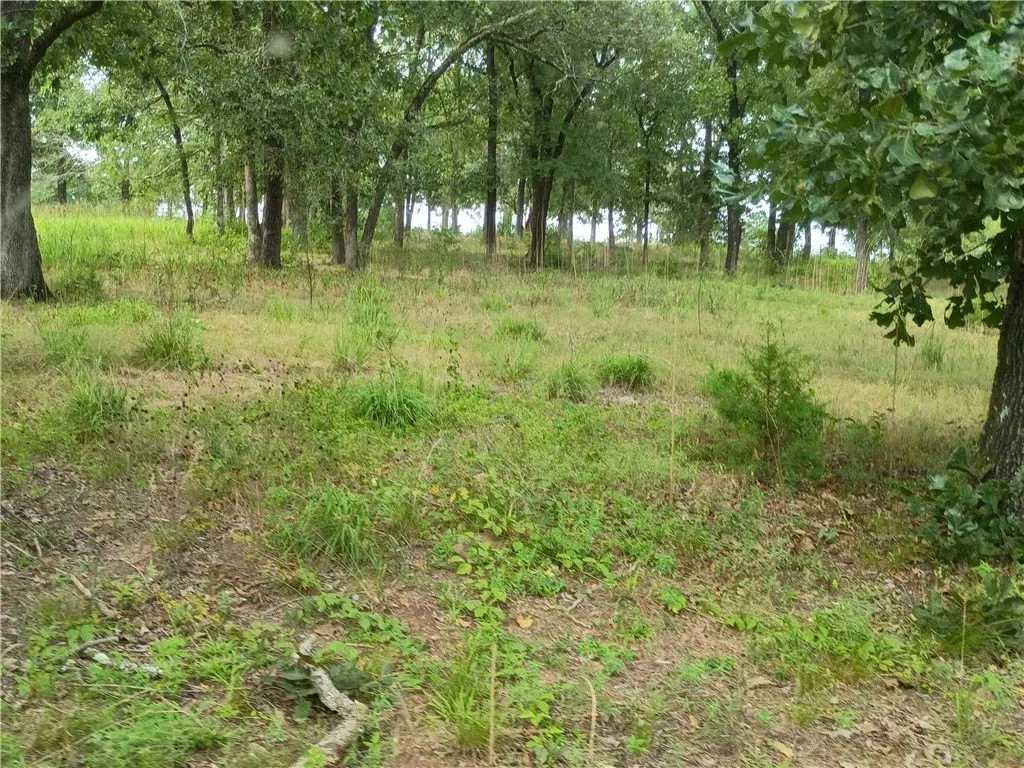 Picture 19