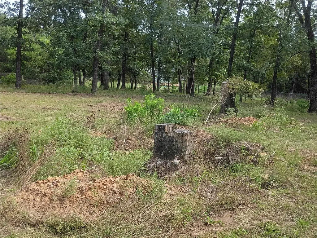 Picture 16
