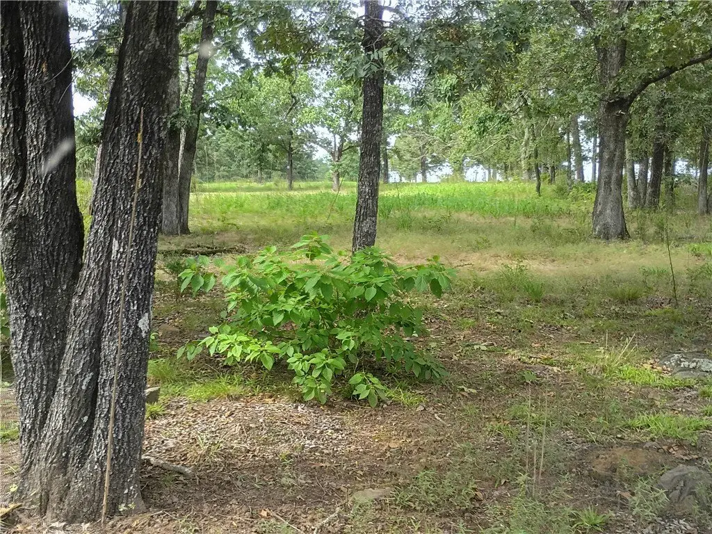 Picture 18