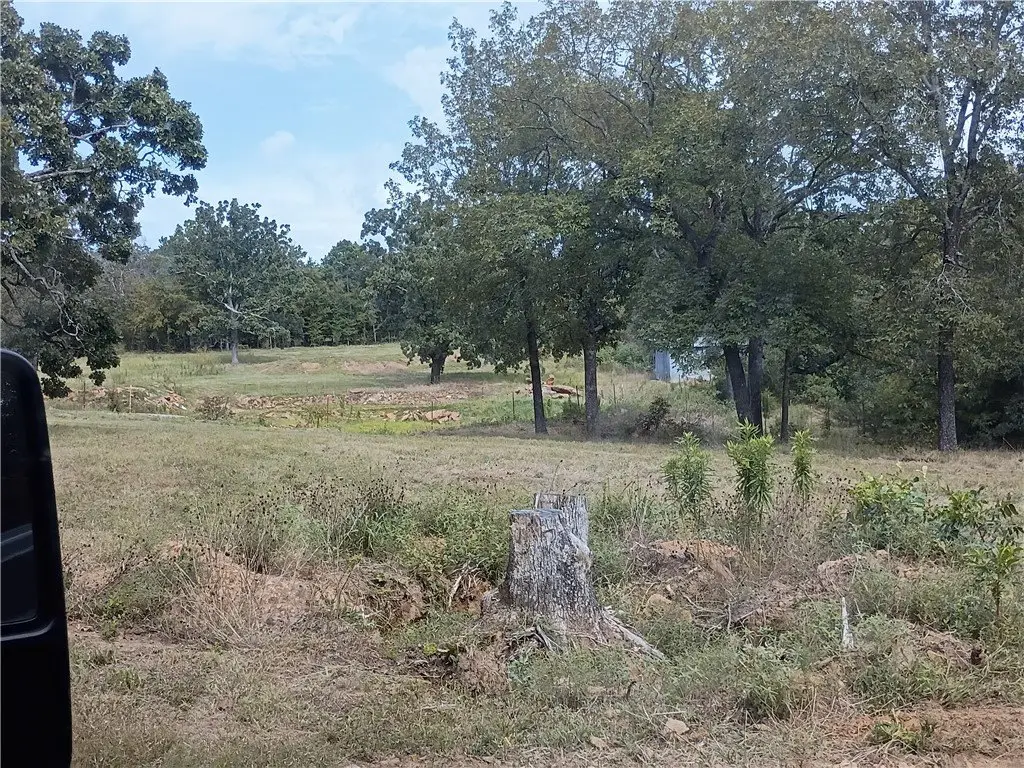 Picture 14