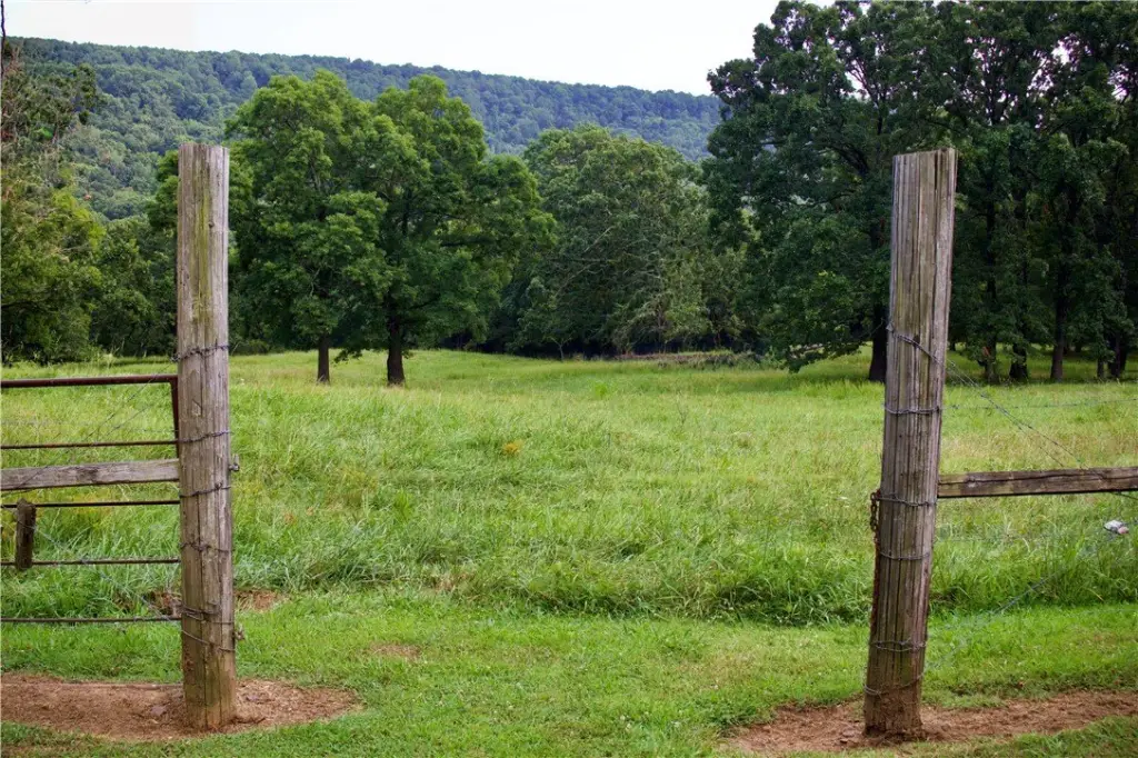 Picture 25