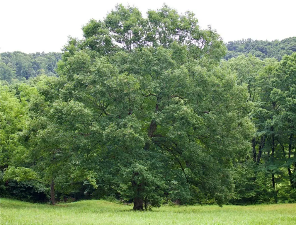 Picture 38