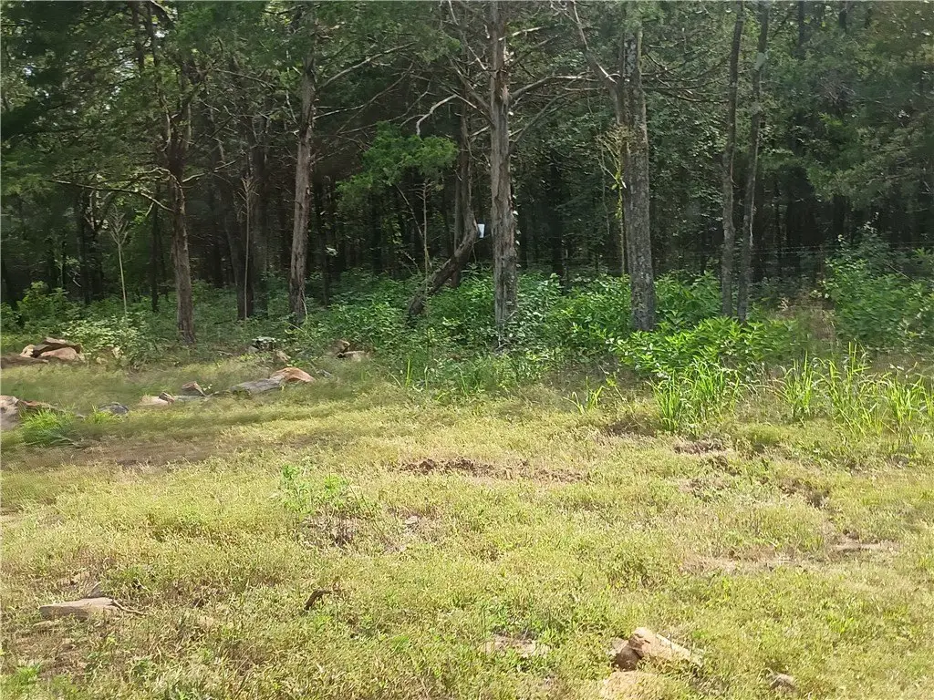 Picture 26