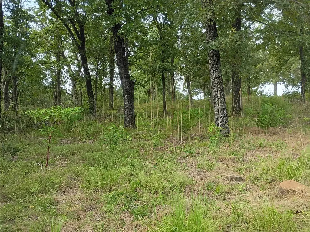 Picture 5