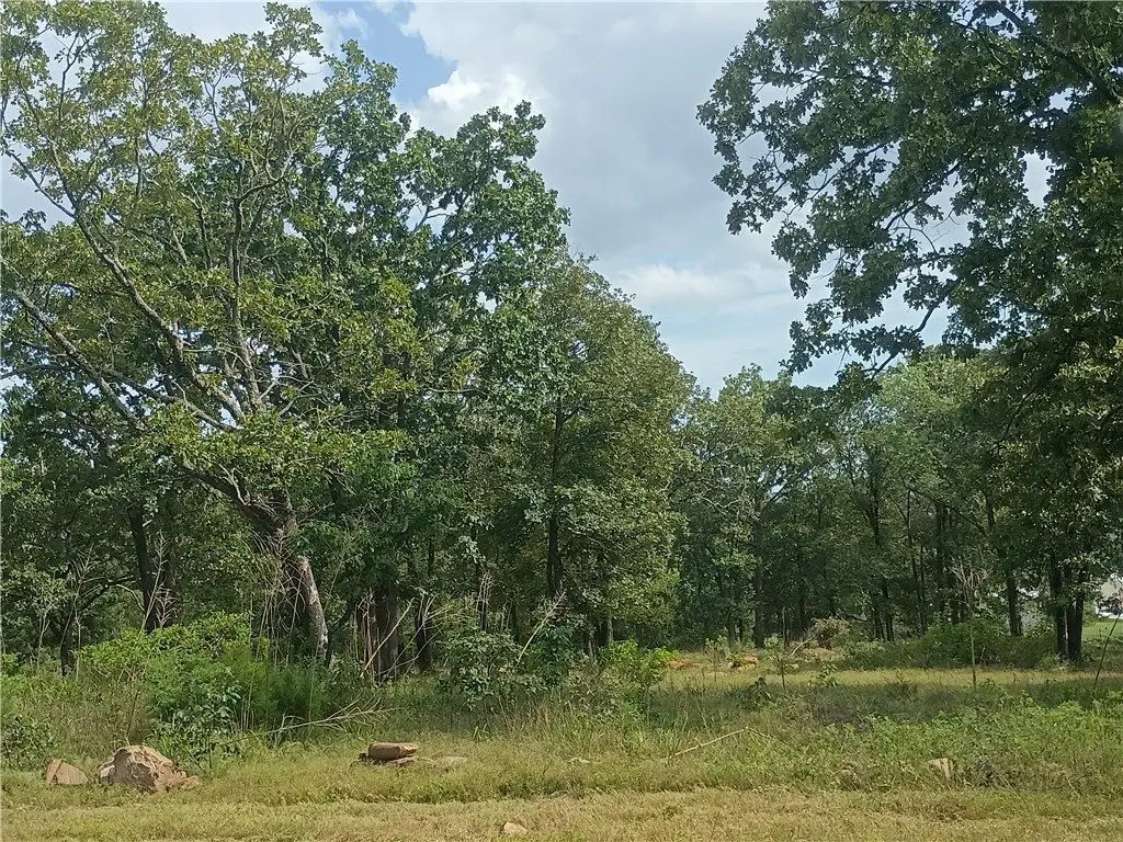 Picture 25