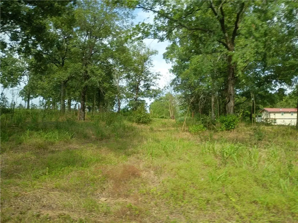 Picture 12