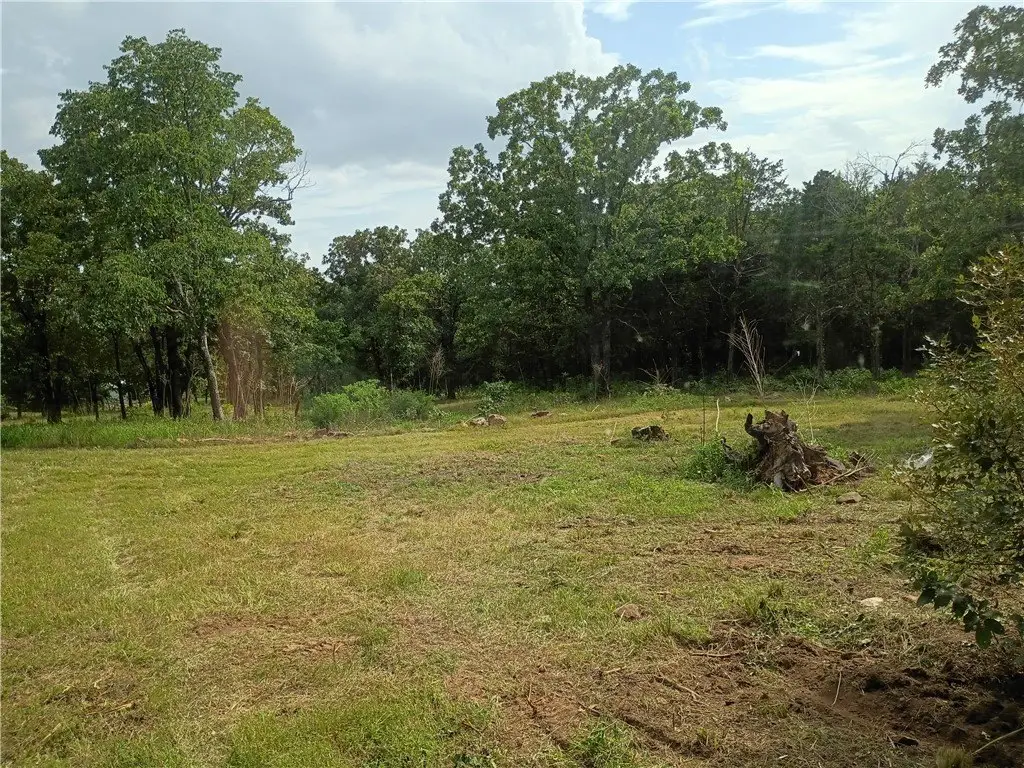 Picture 15