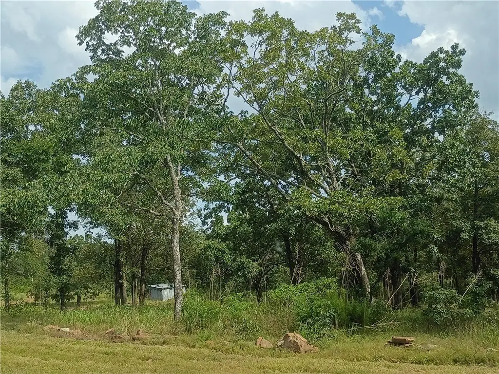 Picture 24