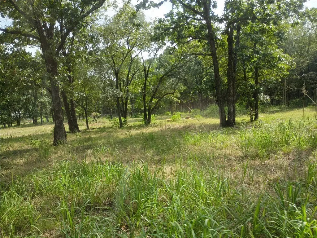 Picture 29