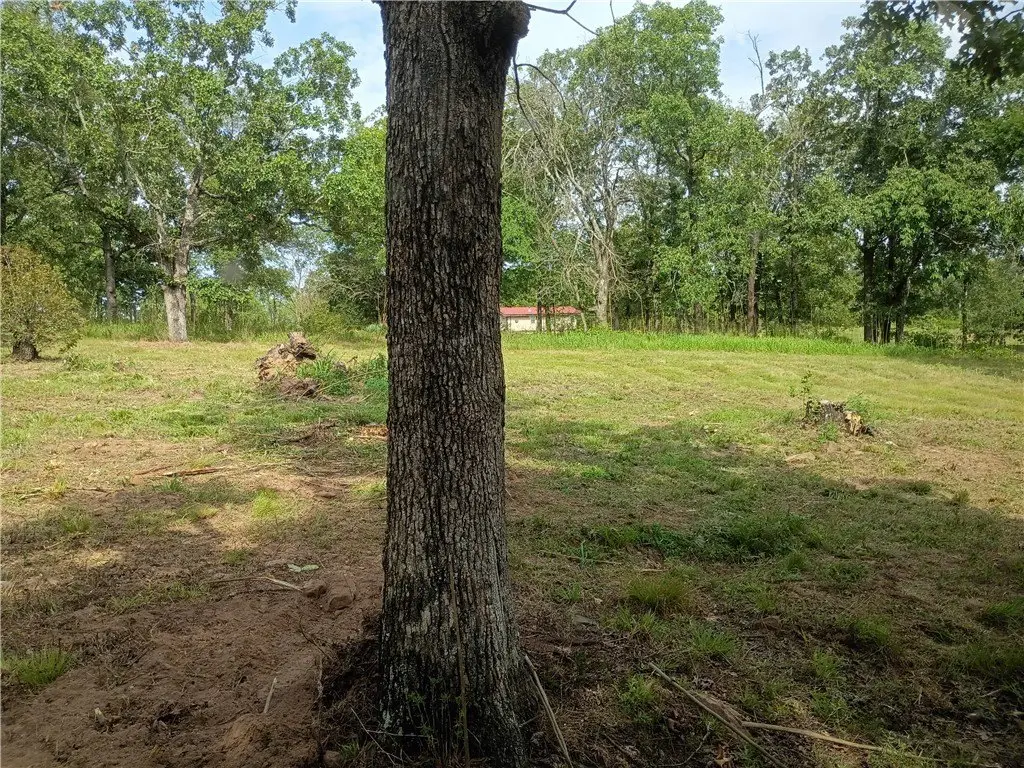 Picture 22