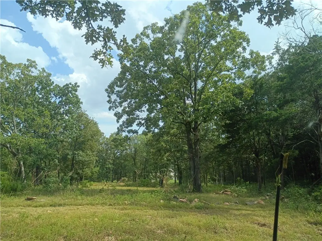 Picture 23
