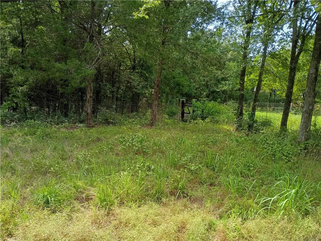 Picture 17