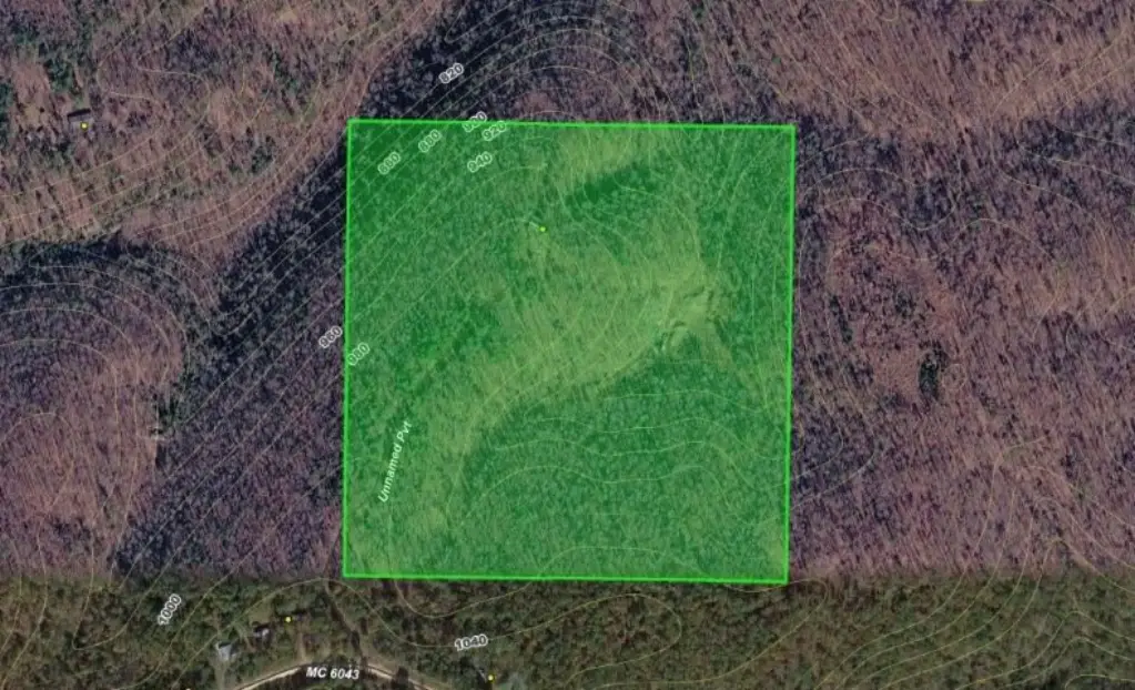 Picture 2