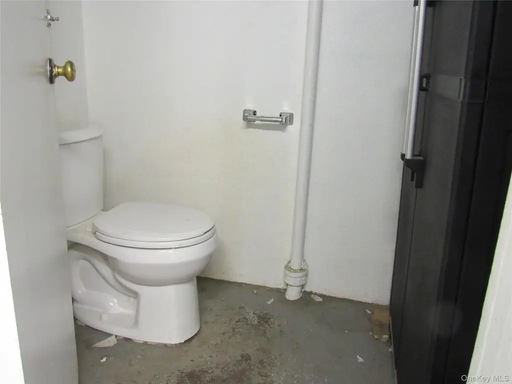 Picture 16