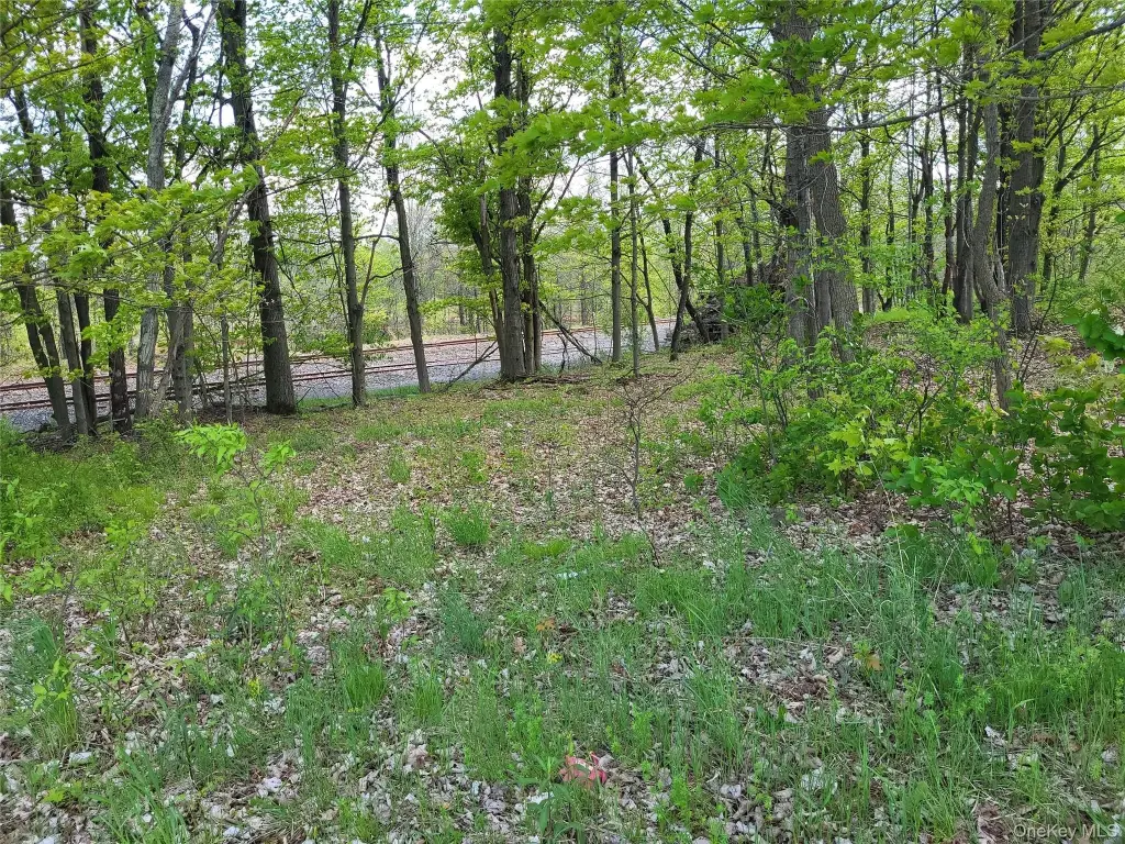 Picture 5