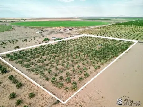 Yuma Agricultural Property with Dates