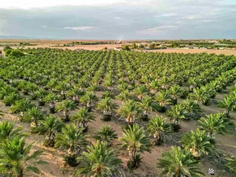Yuma Agricultural Property with Dates