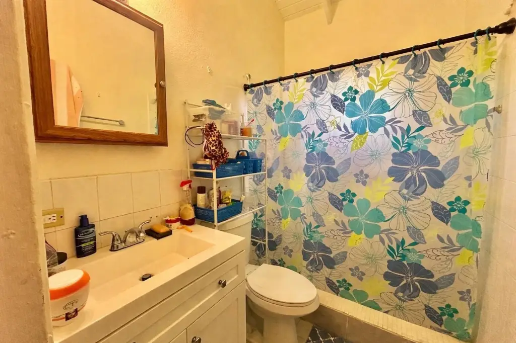 Picture 6