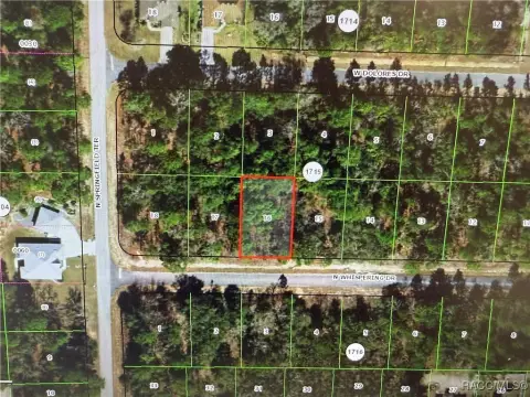 Dunnellon, FL Land Package