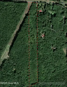 Sanford, NC Wooded Retreat Land