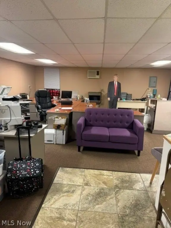 Picture 5