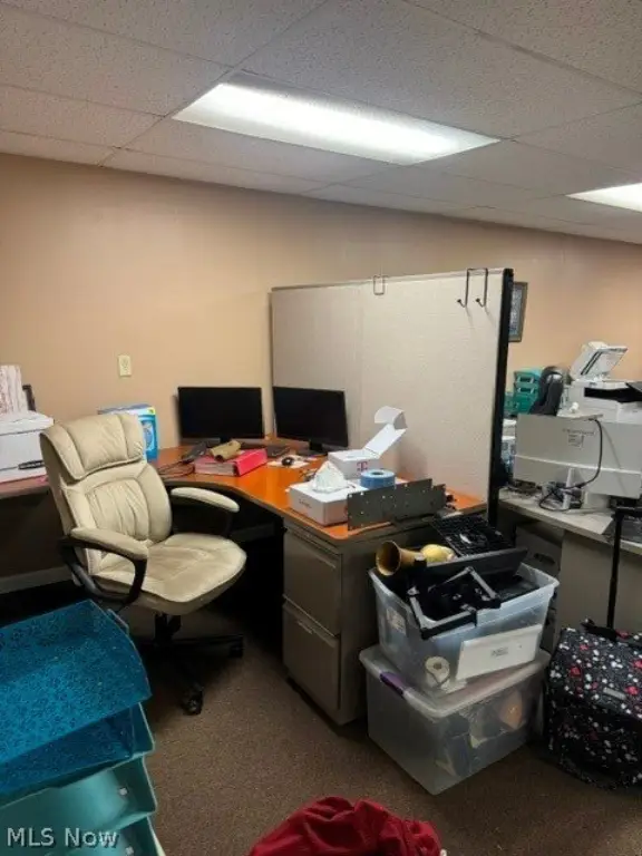 Picture 6