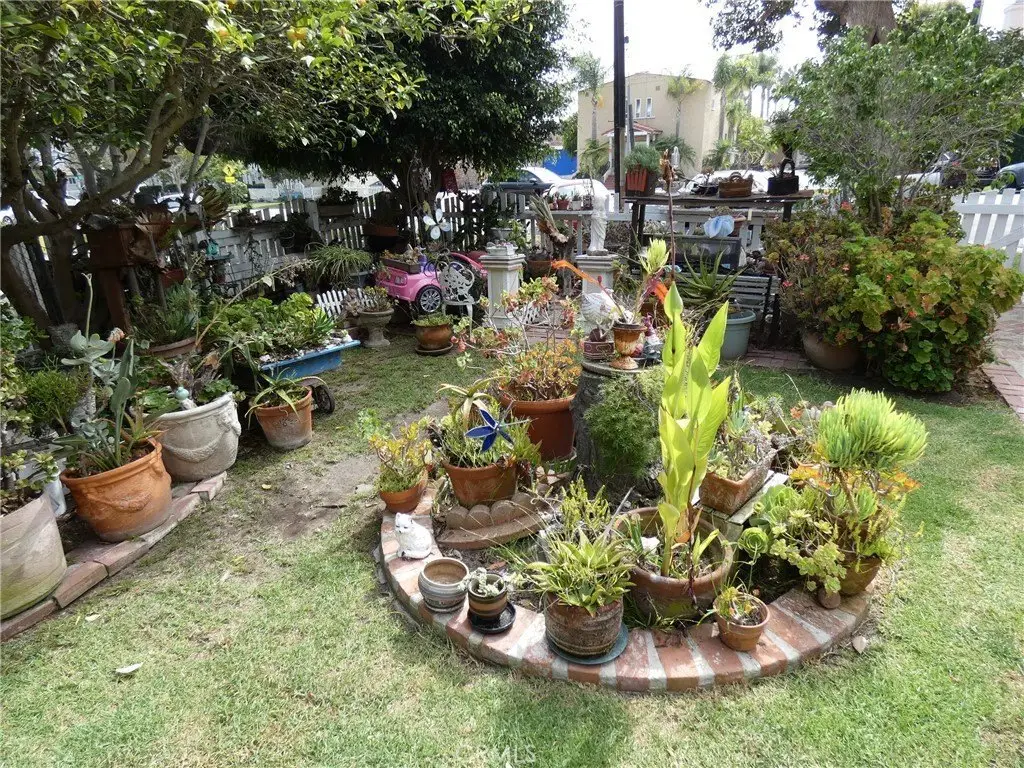 Picture 12