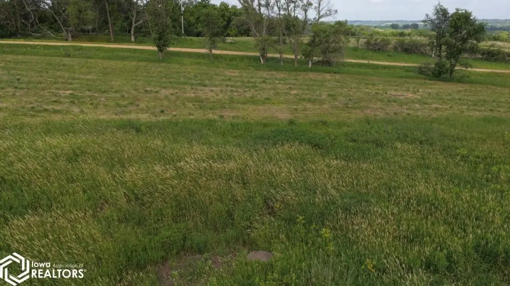 Picture 30