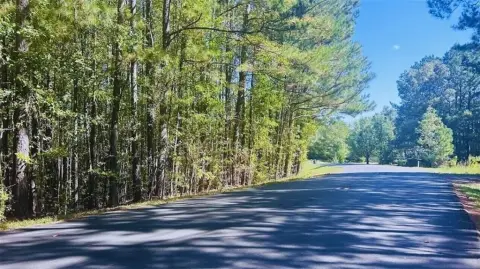 Buildable Lot in Tallapoosa